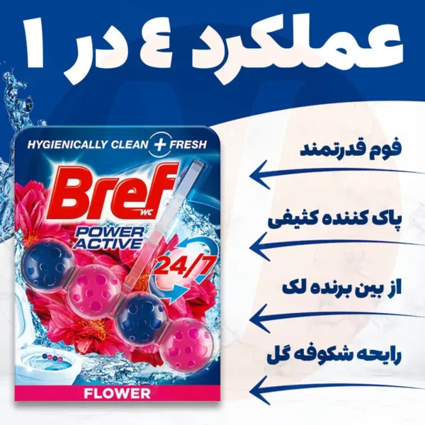 بوگیر توپی برف توالت فرنگی 2 عددی Bref